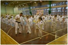 Egzamin-na-stopnie-szkoleniowe-kyu-25-stycznia-2014-_869507