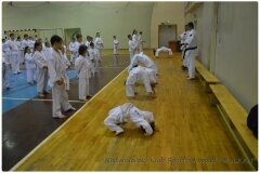 Egzamin-na-stopnie-szkoleniowe-kyu-25-stycznia-2014-_869885