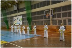 Egzamin-na-stopnie-szkoleniowe-kyu-25-stycznia-2014-_869982