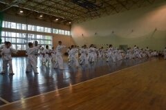 Egzamin-na-stopnie-szkoleniowe-kyu---Kozienice-16062013_831322