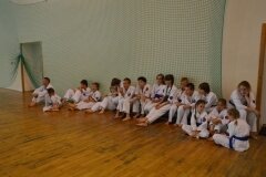 Egzamin-na-stopnie-szkoleniowe-kyu---Kozienice-16062013_83144