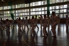 Egzamin-na-stopnie-szkoleniowe-kyu---Kozienice-16062013_831451