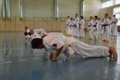 Egzamin-na-stopnie-szkoleniowe-kyu---Kozienice-16062013_831740