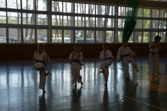 Egzamin-na-stopnie-szkoleniowe-kyu---Kozienice-16062013_831850