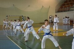Egzamin-na-stopnie-szkoleniowe-kyu---Kozienice-16062013_831879