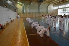 Egzamin-na-stopnie-szkoleniowe-kyu---Kozienice-16062013_83191