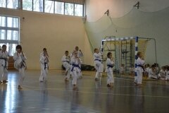 Egzamin-na-stopnie-szkoleniowe-kyu---Kozienice-16062013_832297