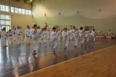 Egzamin-na-stopnie-szkoleniowe-kyu---Kozienice-16062013_833340