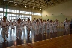 Egzamin-na-stopnie-szkoleniowe-kyu---Kozienice-16062013_833609