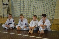 Egzamin-na-stopnie-szkoleniowe-kyu---Kozienice-16062013_833767