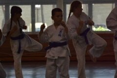 Egzamin-na-stopnie-szkoleniowe-kyu---Kozienice-16062013_834360