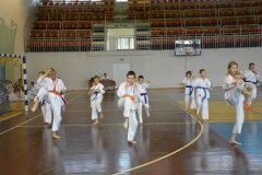 Egzamin-na-stopnie-szkoleniowe-kyu---Kozienice-16062013_835234