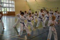 Egzamin-na-stopnie-szkoleniowe-kyu---Kozienice-16062013_835704