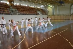 Egzamin-na-stopnie-szkoleniowe-kyu---Kozienice-16062013_835949