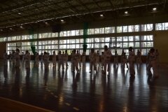 Egzamin-na-stopnie-szkoleniowe-kyu---Kozienice-16062013_83622