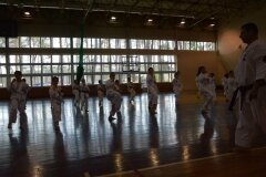 Egzamin-na-stopnie-szkoleniowe-kyu---Kozienice-16062013_836697