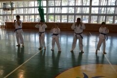 Egzamin-na-stopnie-szkoleniowe-kyu---Kozienice-16062013_837864