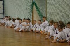 Egzamin-na-stopnie-szkoleniowe-kyu---Kozienice-16062013_838075