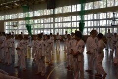 Egzamin-na-stopnie-szkoleniowe-kyu---Kozienice-16062013_838267