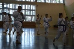 Egzamin-na-stopnie-szkoleniowe-kyu---Kozienice-16062013_838642