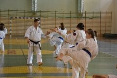 Egzamin-na-stopnie-szkoleniowe-kyu---Kozienice-16062013_839700