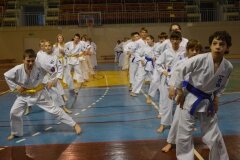 Egzamin-na-stopnie-szkoleniowe-kyu-Kozienice-2013_751616