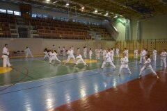 Egzamin-na-stopnie-szkoleniowe-kyu-Kozienice-2013_752468