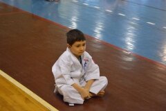 Egzamin-na-stopnie-szkoleniowe-kyu-Kozienice-2013_752985