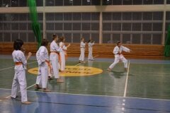 Egzamin-na-stopnie-szkoleniowe-kyu-Kozienice-2013_753039