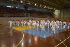 Egzamin-na-stopnie-szkoleniowe-kyu-Kozienice-2013_753570