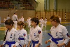 Egzamin-na-stopnie-szkoleniowe-kyu-Kozienice-2013_754134