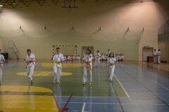 Egzamin-na-stopnie-szkoleniowe-kyu-Kozienice-2013_754823