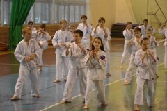 Egzamin-na-stopnie-szkoleniowe-kyu-Kozienice-2013_754872