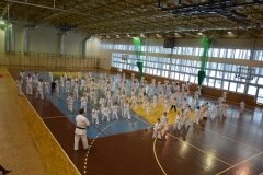 Egzamin-na-stopnie-szkoleniowe-kyu-Kozienice-2013_755188