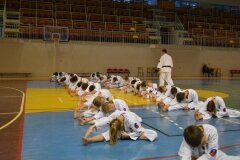 Egzamin-na-stopnie-szkoleniowe-kyu-Kozienice-2013_755270