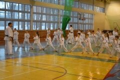 Egzamin-na-stopnie-szkoleniowe-kyu-Kozienice-2013_755343