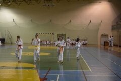 Egzamin-na-stopnie-szkoleniowe-kyu-Kozienice-2013_755556