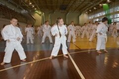 Egzamin-na-stopnie-szkoleniowe-kyu-Kozienice-2013_756512