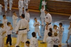 Egzamin-na-stopnie-szkoleniowe-kyu-Kozienice-2013_756569