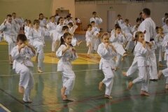 Egzamin-na-stopnie-szkoleniowe-kyu-Kozienice-2013_756917