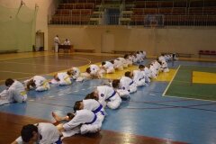 Egzamin-na-stopnie-szkoleniowe-kyu-Kozienice-2013_757350