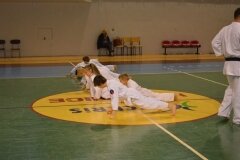 Egzamin-na-stopnie-szkoleniowe-kyu-Kozienice-2013_758269