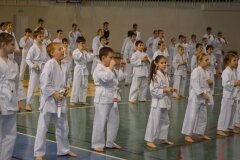 Egzamin-na-stopnie-szkoleniowe-kyu-Kozienice-2013_758621