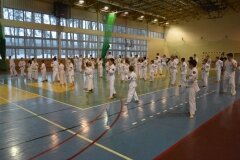 Egzamin-na-stopnie-szkoleniowe-kyu-Kozienice-2013_758736