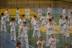 Egzamin-na-stopnie-szkoleniowe-kyu-Kozienice-2013_758931