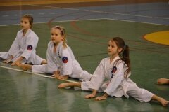 Egzamin-na-stopnie-szkoleniowe-kyu-Kozienice-2013_758947