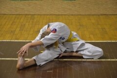 Egzamin-na-stopnie-szkoleniowe-kyu-Kozienice-2013_759061