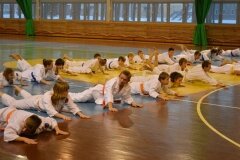 Egzamin-na-stopnie-szkoleniowe-kyu-Kozienice-2013_759279