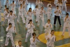 Egzamin-na-stopnie-szkoleniowe-kyu-Kozienice-2013_759786