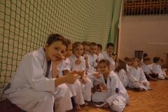 Egzamin-na-stopnie-szkoleniowe-kyu-Kozienice-2013_759978